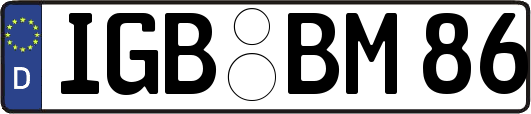 IGB-BM86