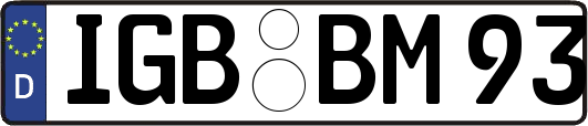 IGB-BM93