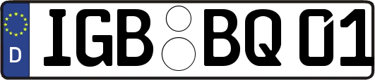 IGB-BQ01