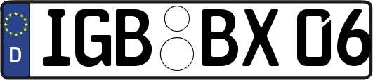 IGB-BX06