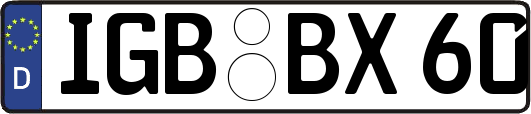 IGB-BX60