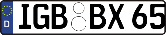 IGB-BX65