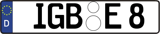 IGB-E8