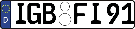 IGB-FI91