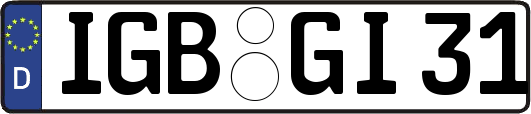 IGB-GI31