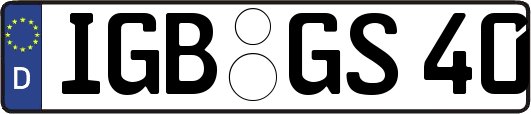IGB-GS40