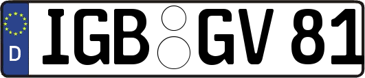 IGB-GV81