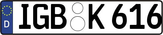 IGB-K616
