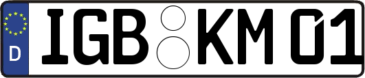 IGB-KM01