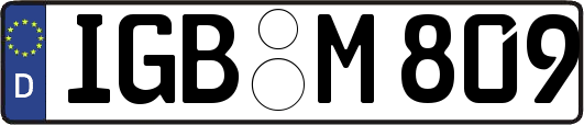 IGB-M809