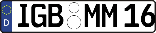IGB-MM16