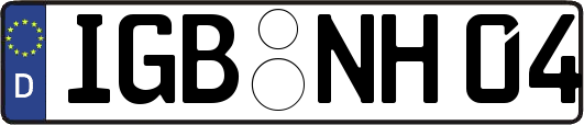 IGB-NH04
