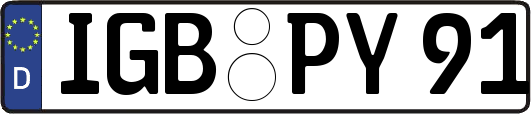IGB-PY91