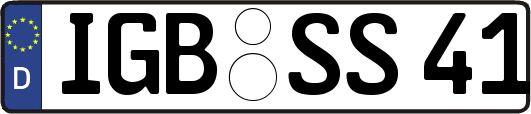 IGB-SS41