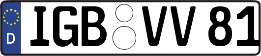 IGB-VV81