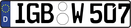 IGB-W507