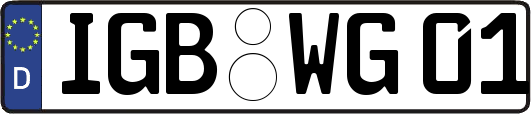 IGB-WG01