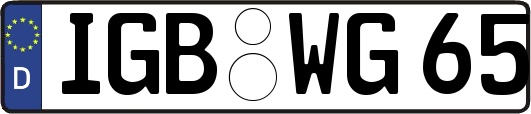 IGB-WG65