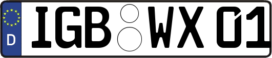 IGB-WX01