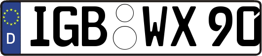 IGB-WX90