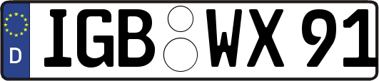 IGB-WX91