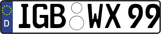 IGB-WX99