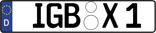 IGB-X1