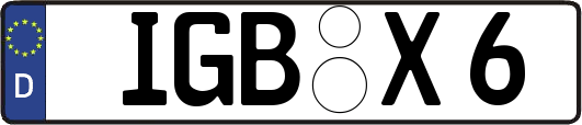 IGB-X6