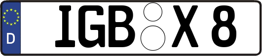 IGB-X8