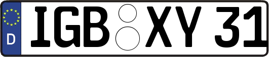 IGB-XY31