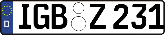 IGB-Z231