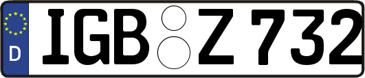 IGB-Z732