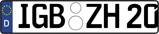 IGB-ZH20