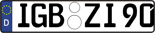 IGB-ZI90