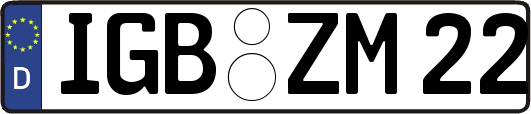 IGB-ZM22