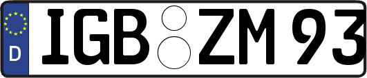 IGB-ZM93
