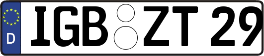 IGB-ZT29