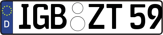IGB-ZT59