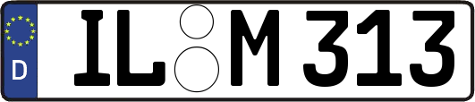 IL-M313