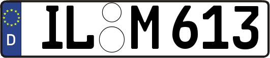 IL-M613