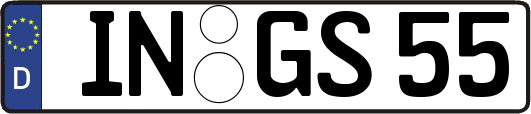 IN-GS55