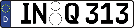 IN-Q313