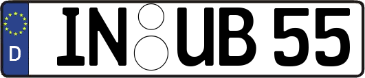 IN-UB55