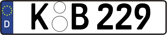 K-B229