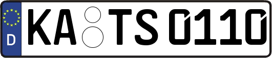 KA-TS0110