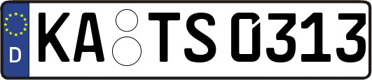 KA-TS0313