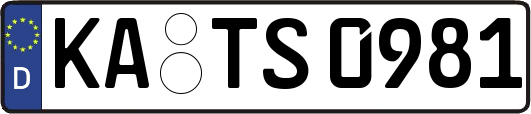 KA-TS0981
