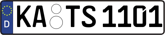 KA-TS1101