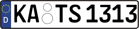 KA-TS1313