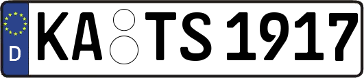 KA-TS1917